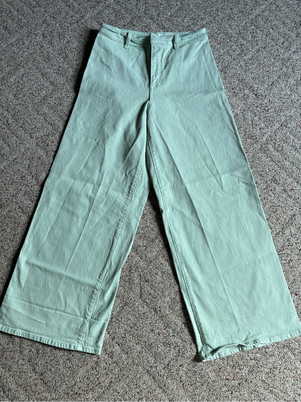 Universal Thread Light Mint Wide-Leg Pants